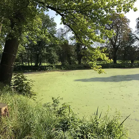 Rheinischer Hof فندق 2*