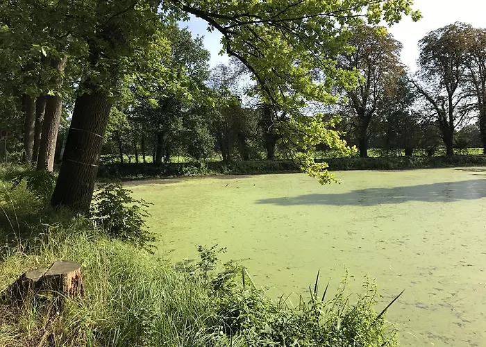 Rheinischer Hof Hotell 2*